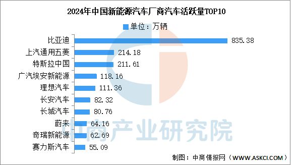 天娱国际签到奖励制度-2025年中国新能源汽车行业竞争格局及市场份额解读(图5)