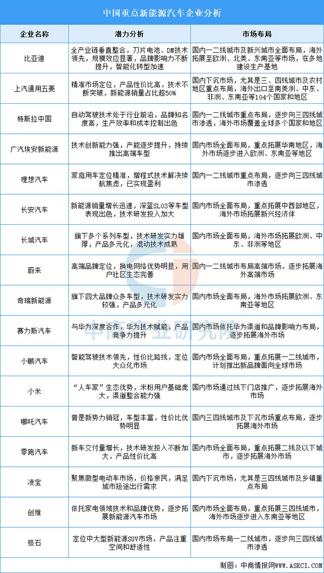 天娱国际签到奖励制度-2025年中国新能源汽车行业竞争格局及市场份额解读(图6)