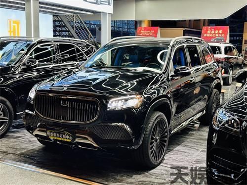天娱国际-奔驰GLS450定制迈GLS600会员价抢购(图2)